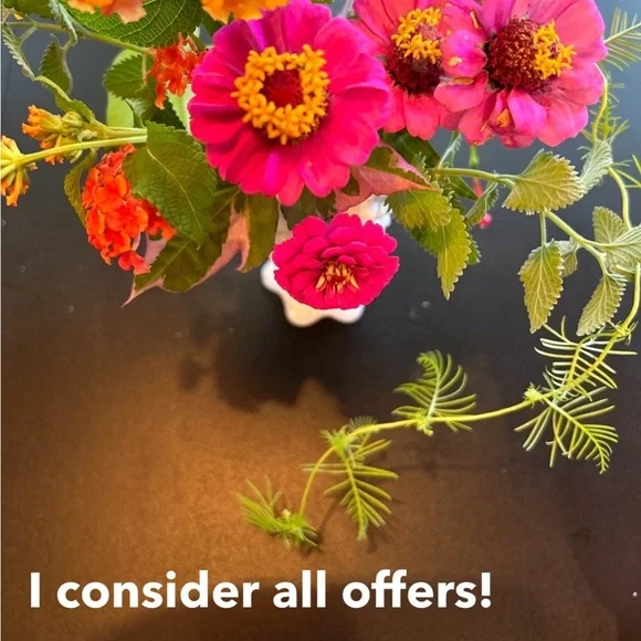 Madewell off-white V-Neck Sweatshirt size M. Oversized. Balloon sleeves - Picture 16 of 16